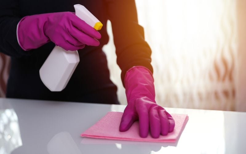 mold free home