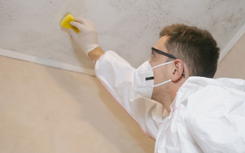 Mold Growth In Homes