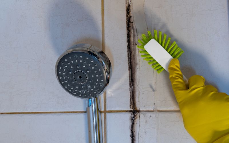 black mold in shower