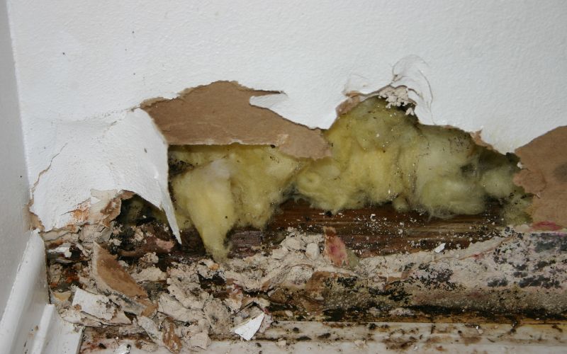 mold resistant drywall