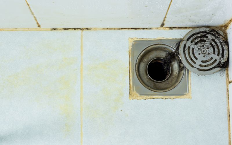 black mold in your bathroom