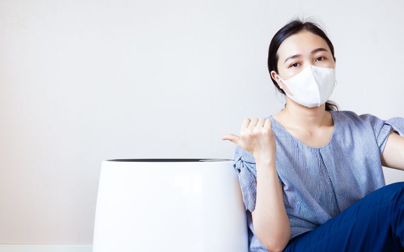 air purifiers vs dehumidifiers