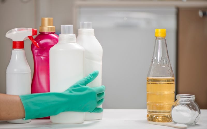 bleach vs vinegar