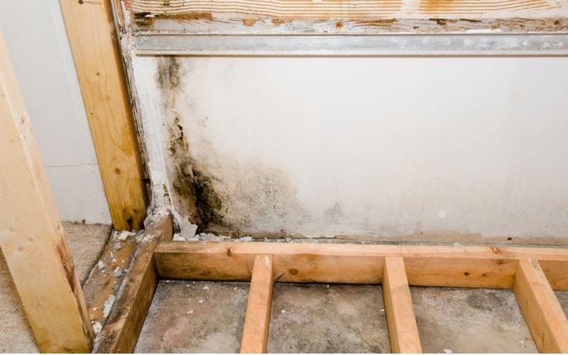 concrete mold problems