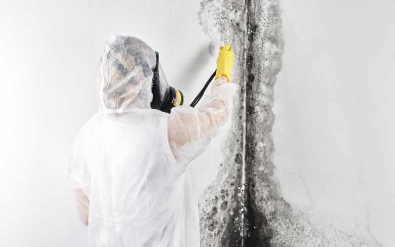 mold in apartments