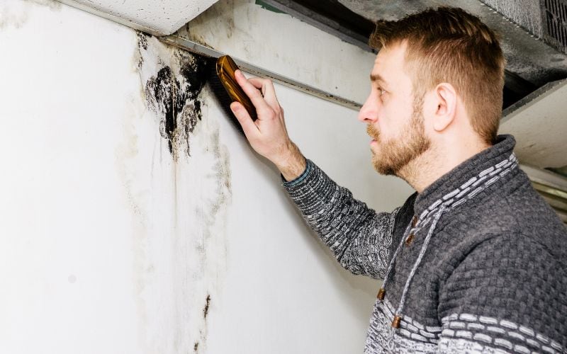 painting over mold