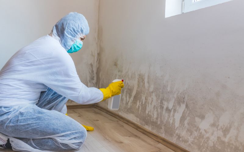 preventing mold in apartments