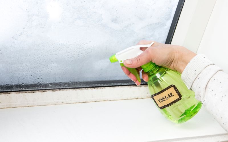 alcohol vinegar