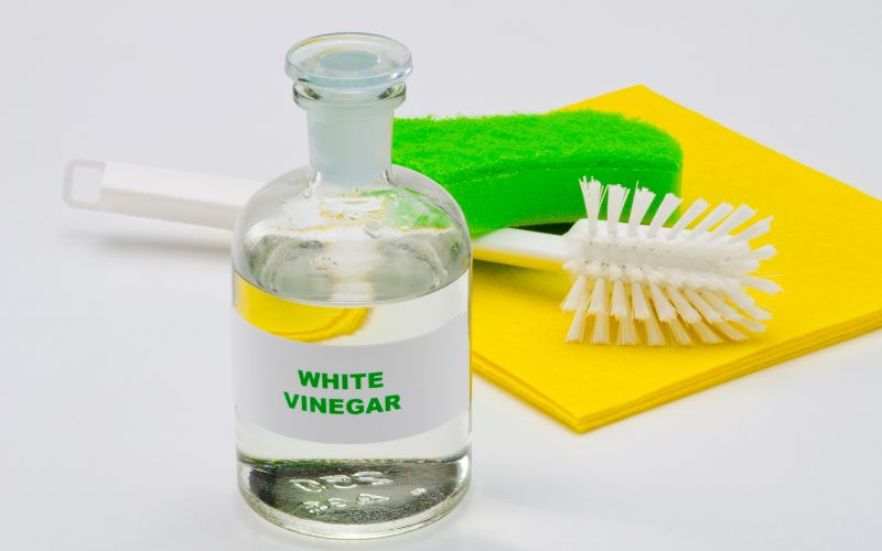 alcohol vinegar solutions for mold prevention