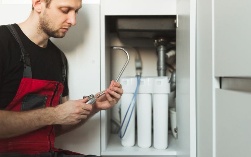 mold growth in water systems