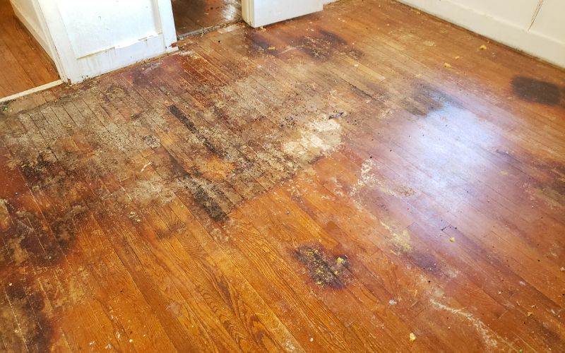 water damaged wood