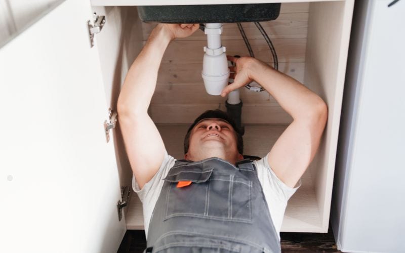 mold under sink