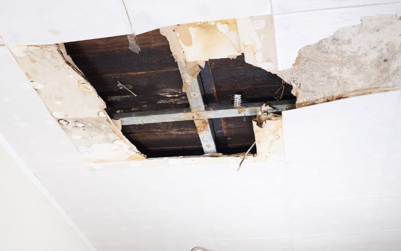 How to Repair Water-Damaged Drywall to Prevent Mold Growth