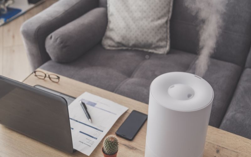 5 Common Mistakes That Lead to Mold in Humidifiers