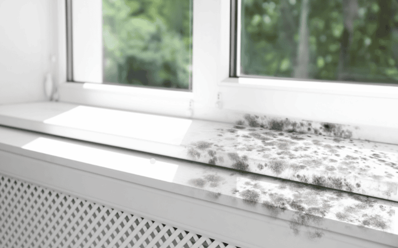 indoor air quality