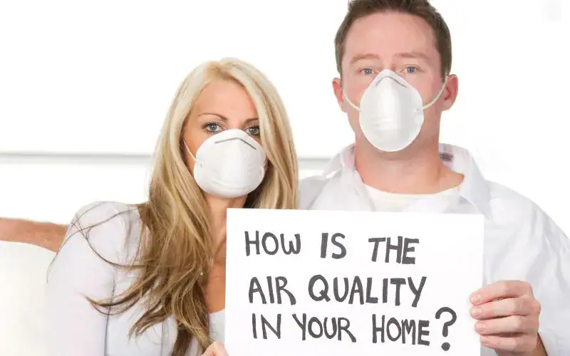 Workplace Indoor Air Quality: Why It Matters and How to Improve It