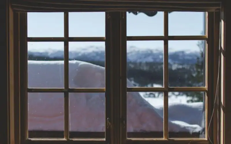 mold in double-pale windows