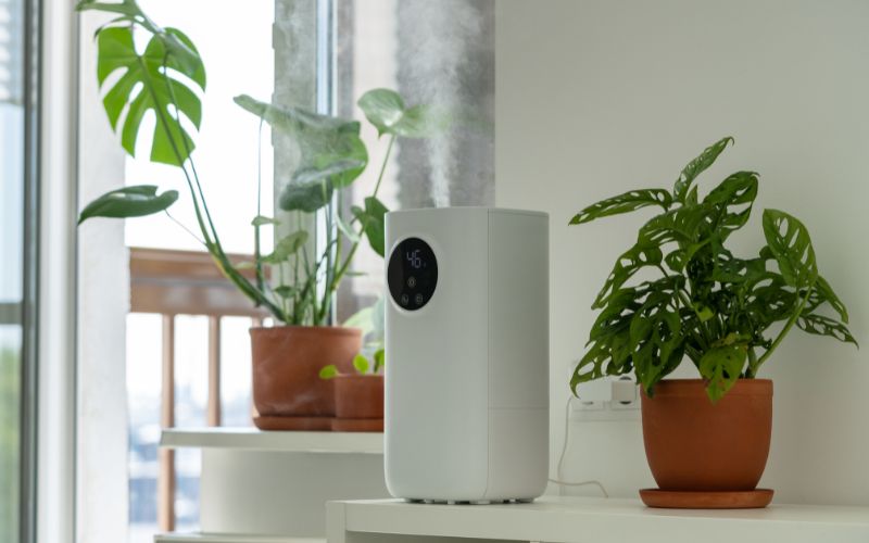 Preventing Indoor Air Pollution: Tips for a Cleaner Home