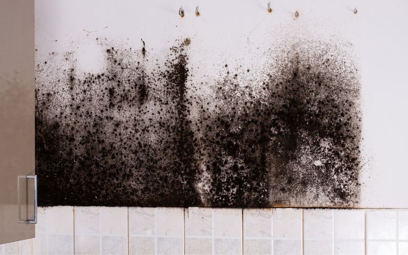 science behind mold