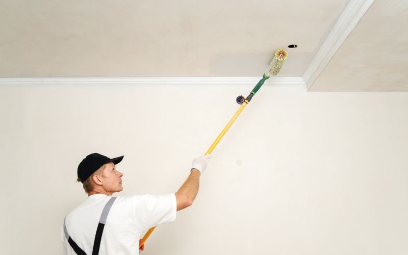 mold paint for walls
