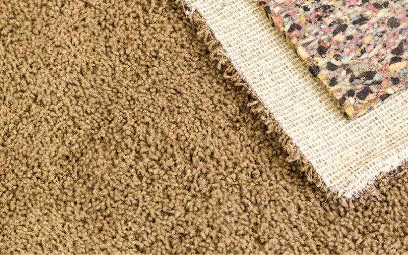 Battling Carpet Mold: Expert Tips for a Mold-Free Home