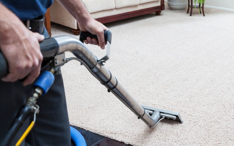 How to Clean Your Carpet and Avoid Mold and Mildew