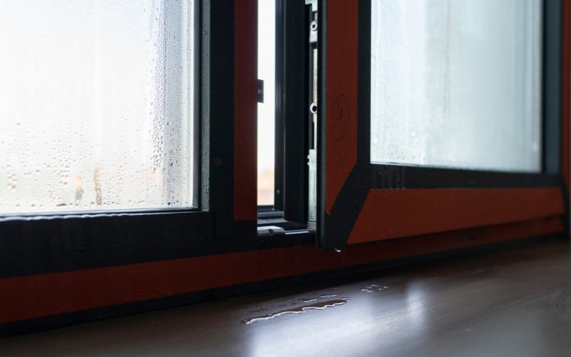 How To Remove and Prevent Mold Between Double-Pane Windows
