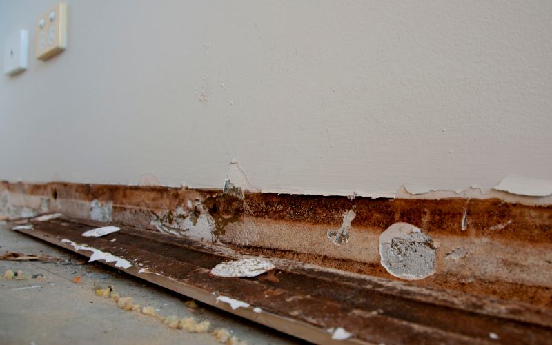 The Ultimate Guide to Tackling Mold on Wood Floors