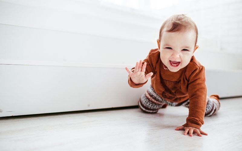 Crawl Space Mold Remediation: The Complete Homeowner’s Guide