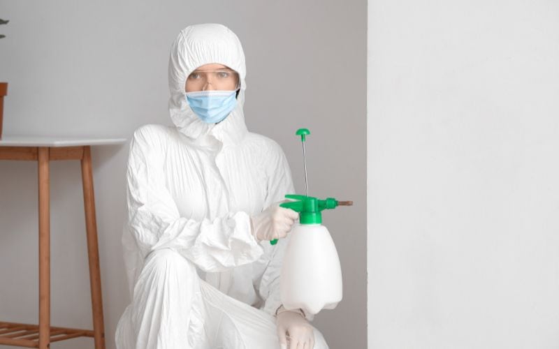 Top 5 Mistakes To Avoid During Crawl Space Mold Removal