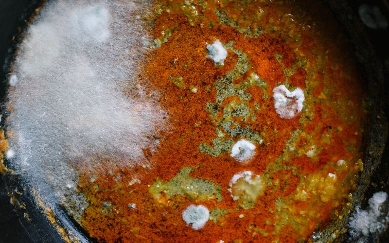 Heat vs. Cold: Which Kills Mold More Effectively?