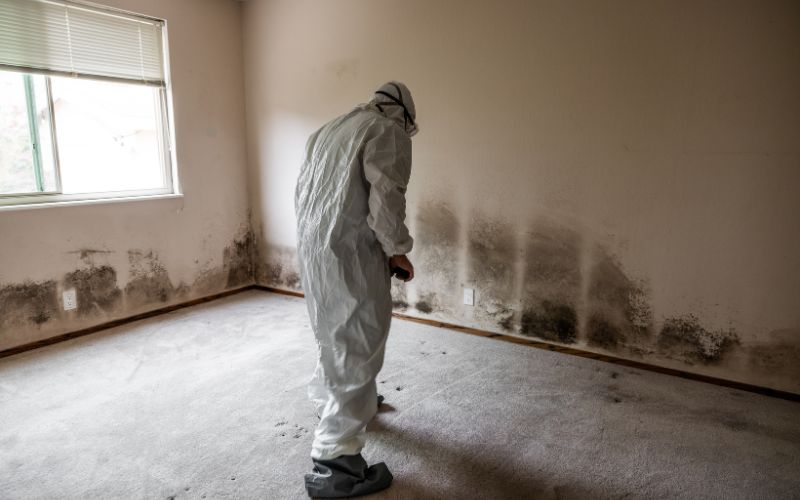 Can You Use Heat To Kill Mold In The House? Pros & Cons