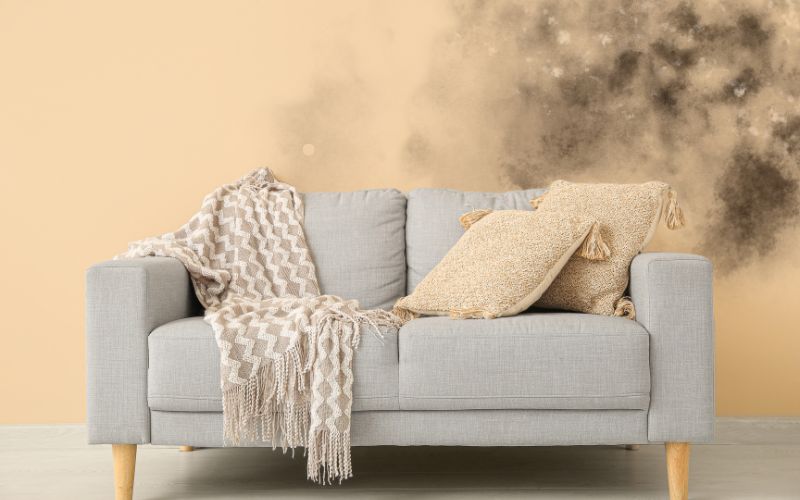 Why Mold Grows in Cold Rooms and How to Stop It