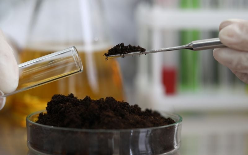 Surface Testing or Air Sampling: Best Mold Test?