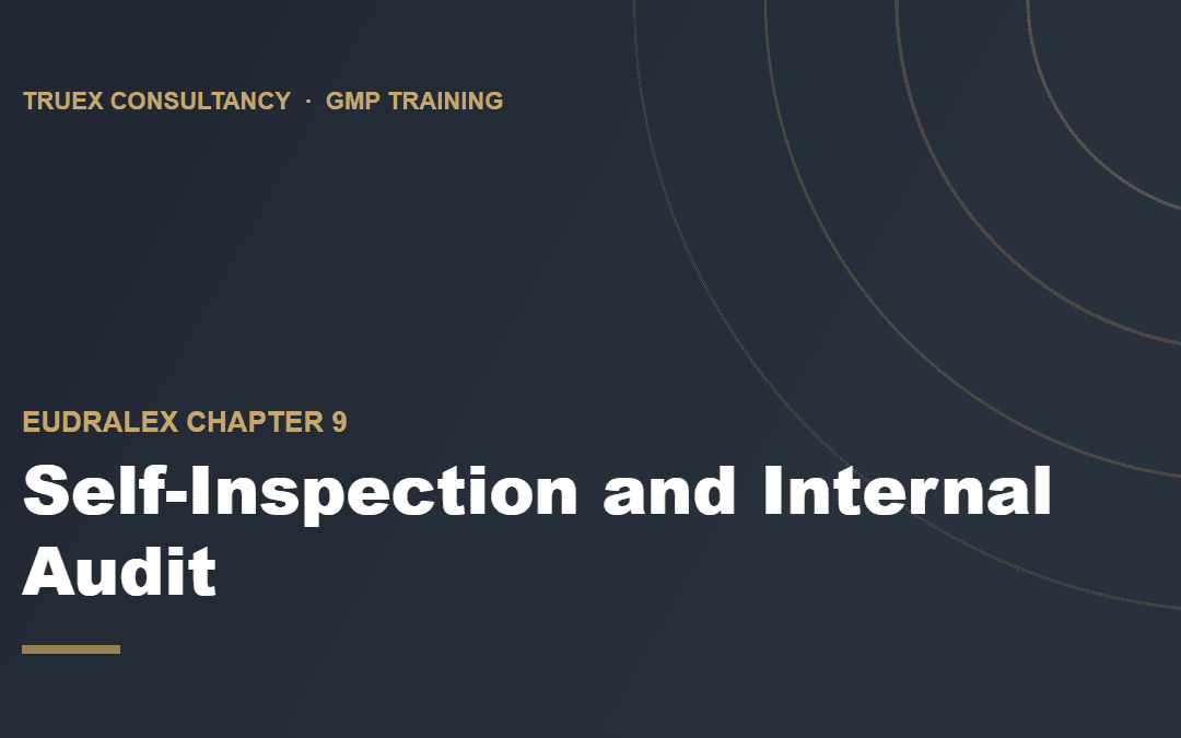 Cover image for the GMP training course "Self-Inspection and Internal Audit in GMP Environments" by Truex Consultancy