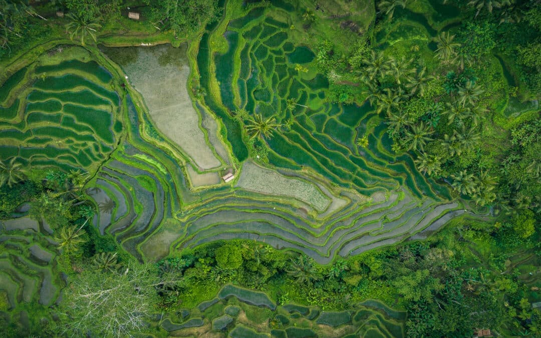 Bali : guide complet 2026 – Que faire et que voir ?