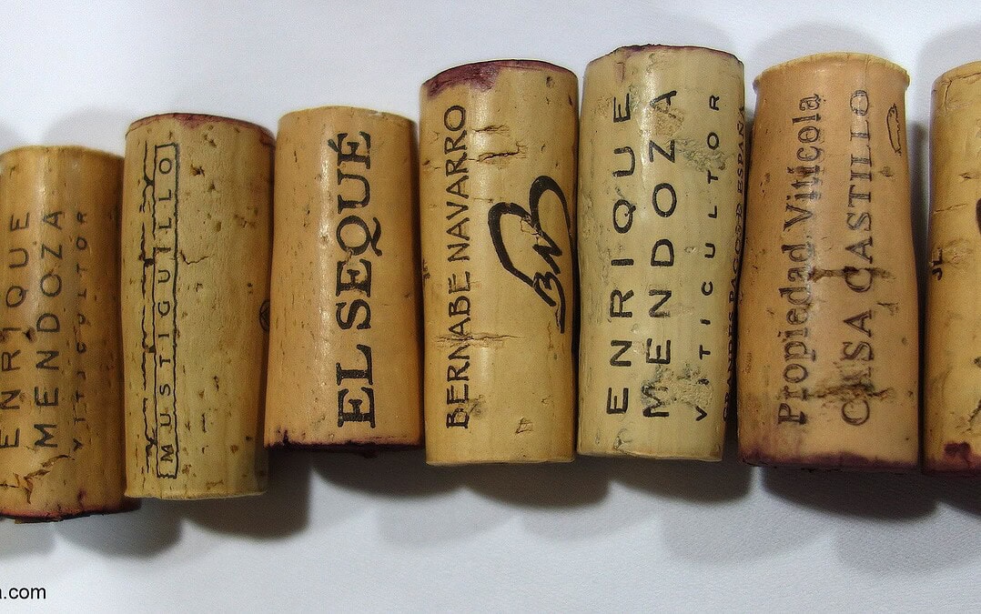 Cata de vinos de Levante – Sureste