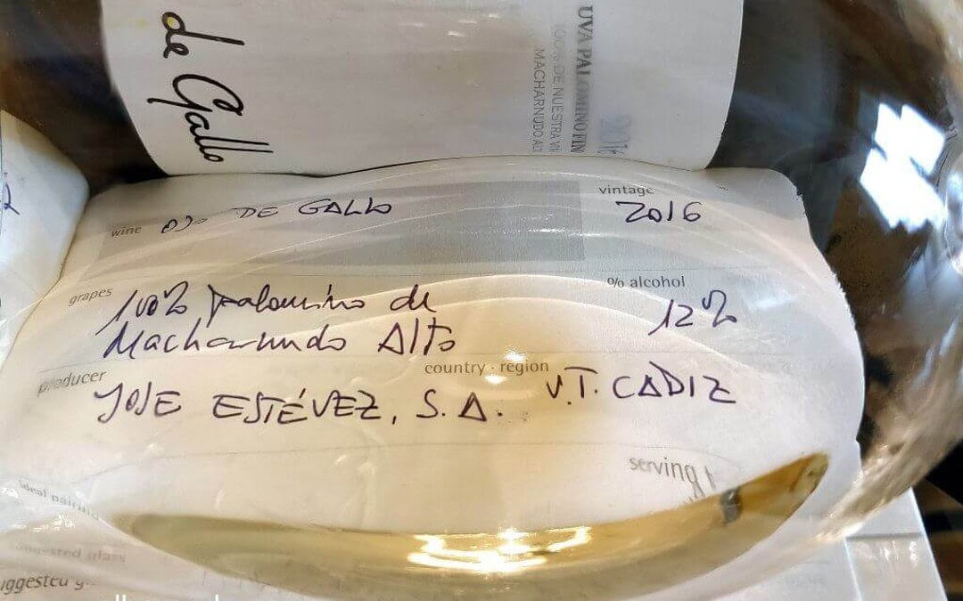 Vinos de copa en boca: Ojo de gallo 2016