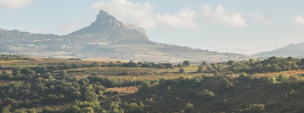 Challenges of Modern Viticulture: 2016