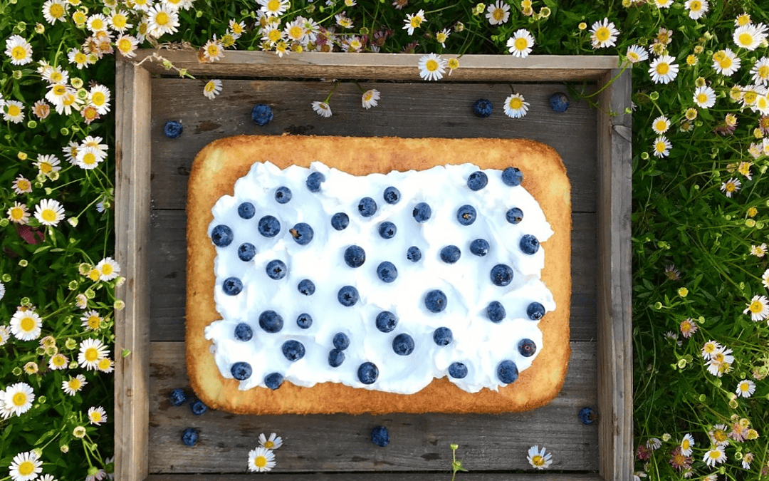 Perfect Spring Traybake Cake