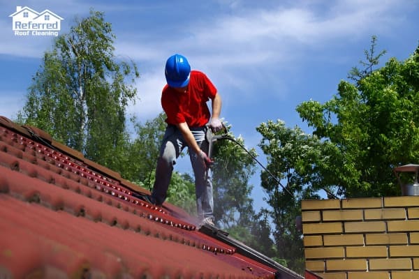 Roof Cleaning