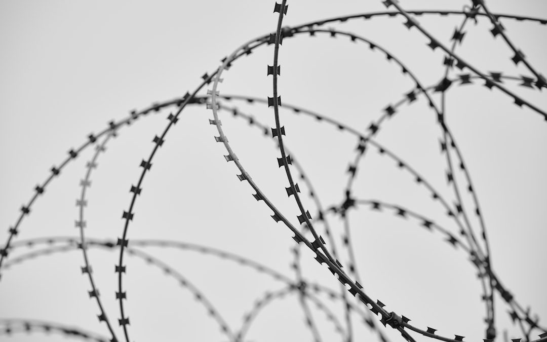 Understanding the Controversial State-Level Crimes for Irregular Border Crossings