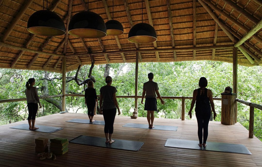 londolozi healing house yoga 6