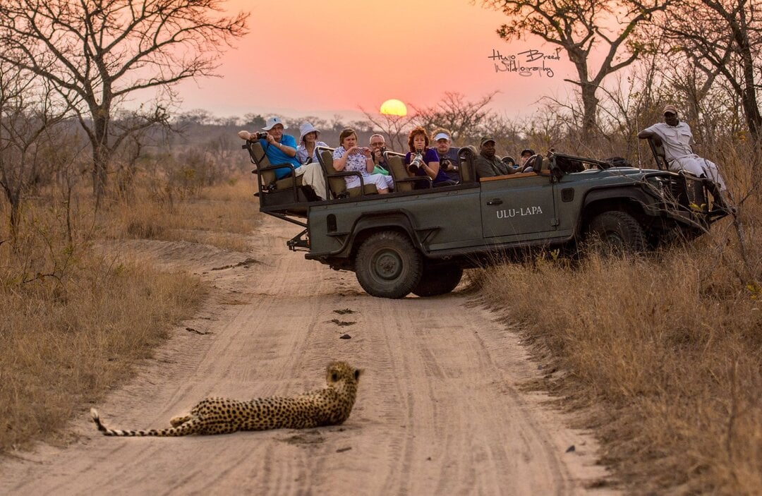 ululapa sabi sand safari drive
