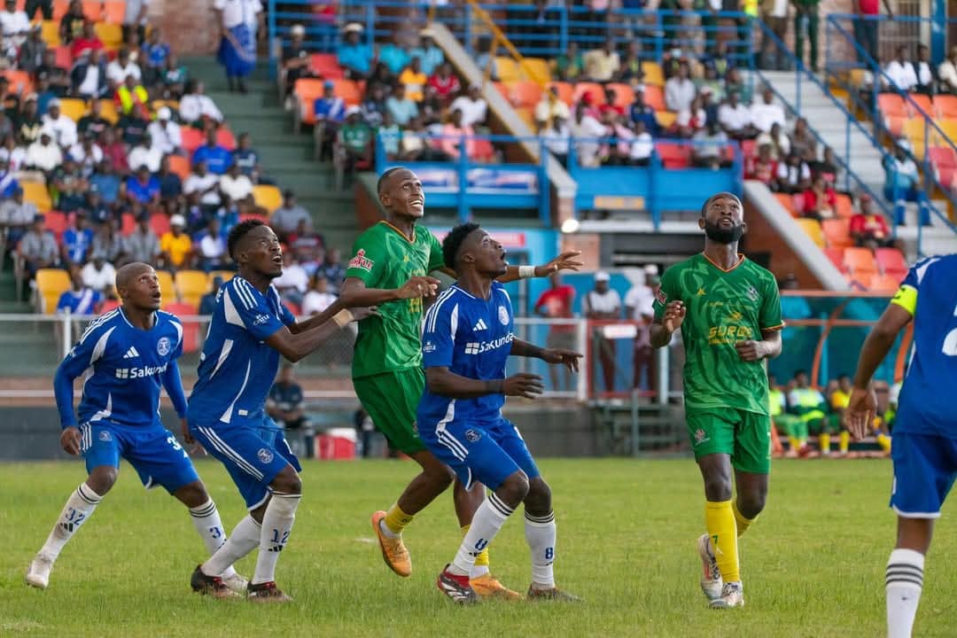 WhatsApp Image 2025-03-31 at 14.05.25