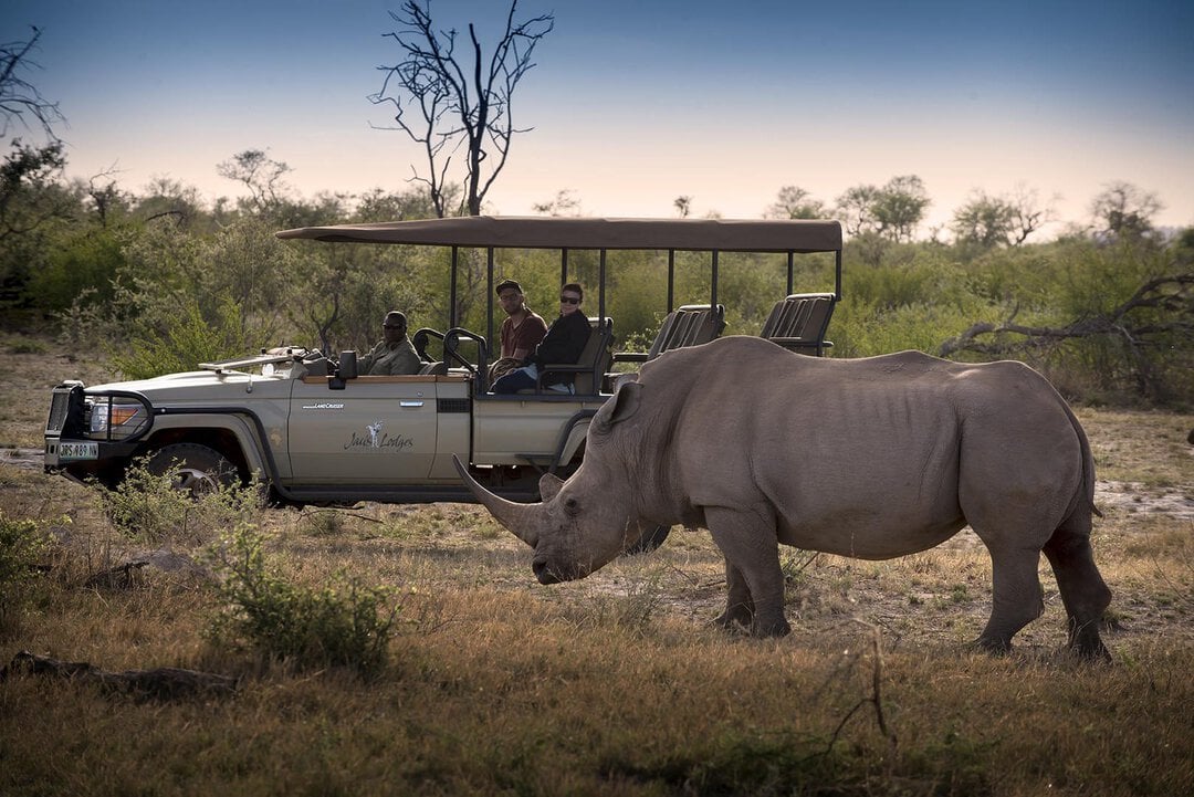 Jacis Tree Lodge Madikwe Reserve Sabi Sands Game Reserve 1