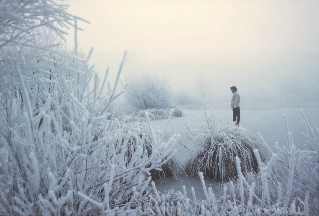 Person on frozen pond surrounded by hoar frost crystals near Twizel
