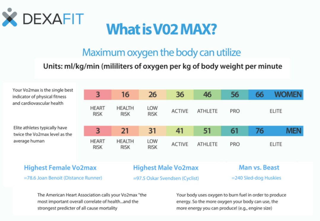 A chart showing Vo2 Max results