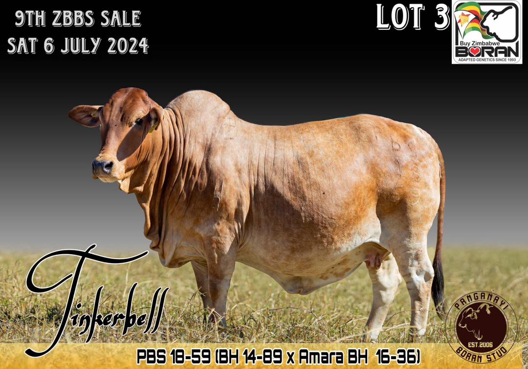 Lot 3