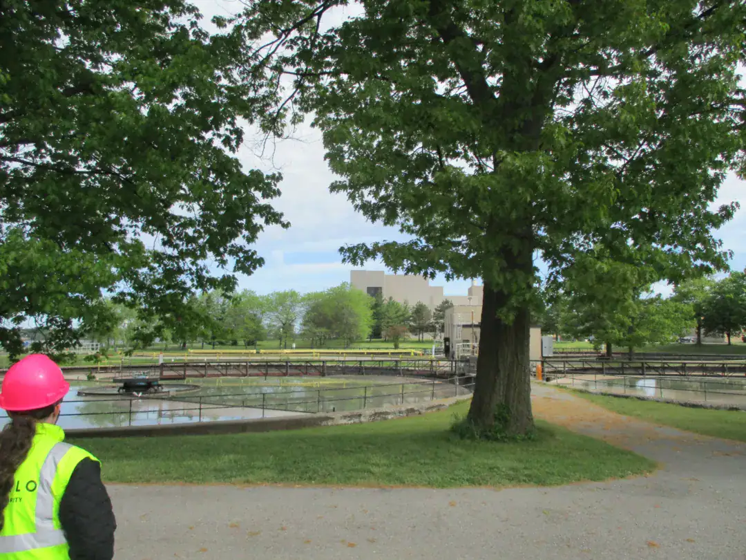 environmental utility consultant